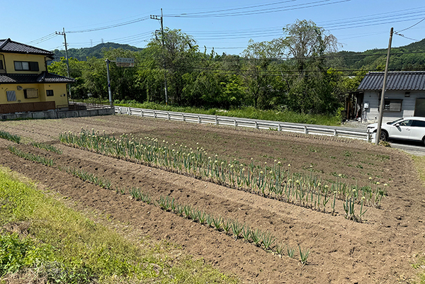 埼玉県 秩父市