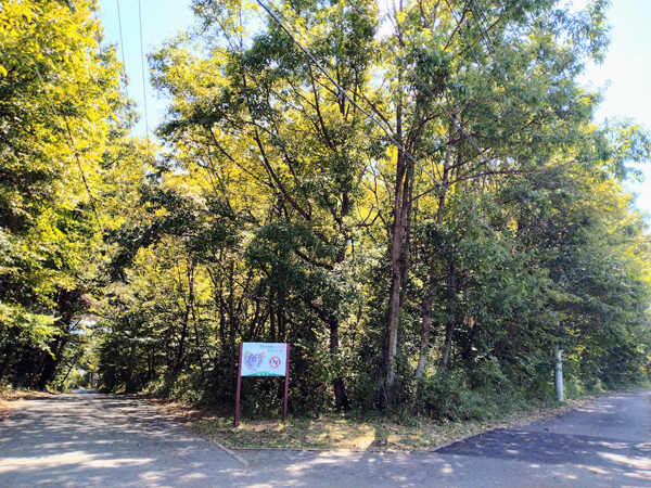 山梨県 長坂町