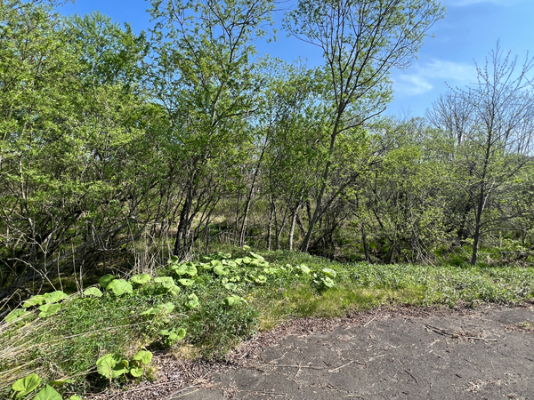北海道 標茶町