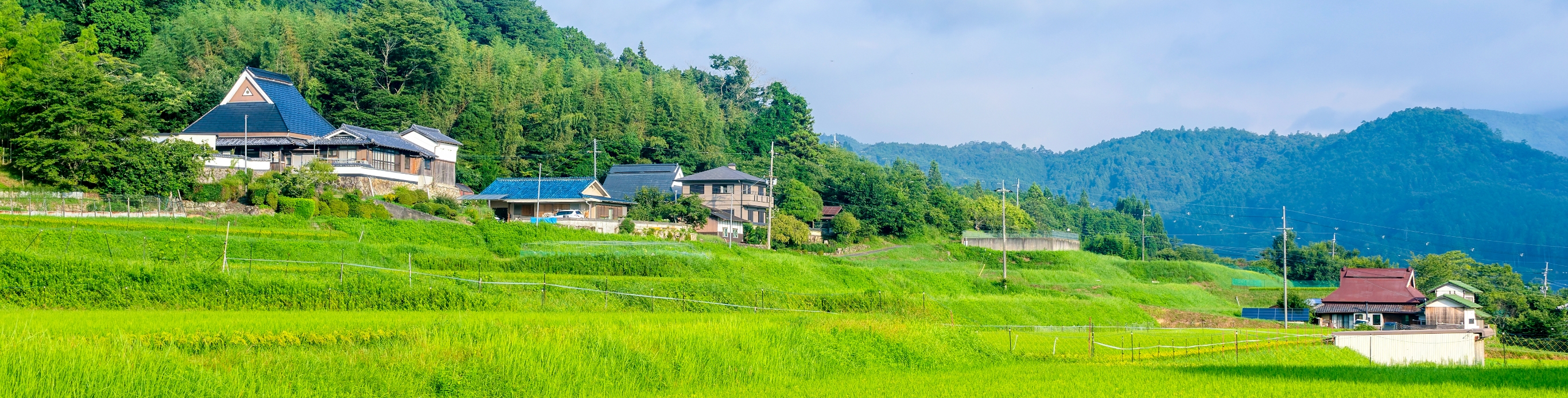ラーバニストのお店＆情報誌常備店一覧