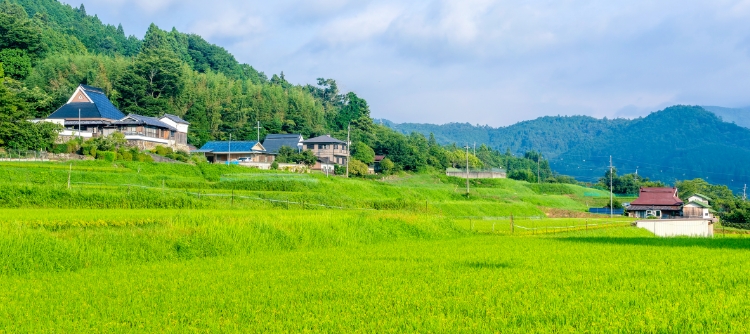 ラーバニストのお店＆情報誌常備店一覧
