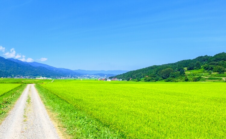 田舎暮らしを成功させる10か条