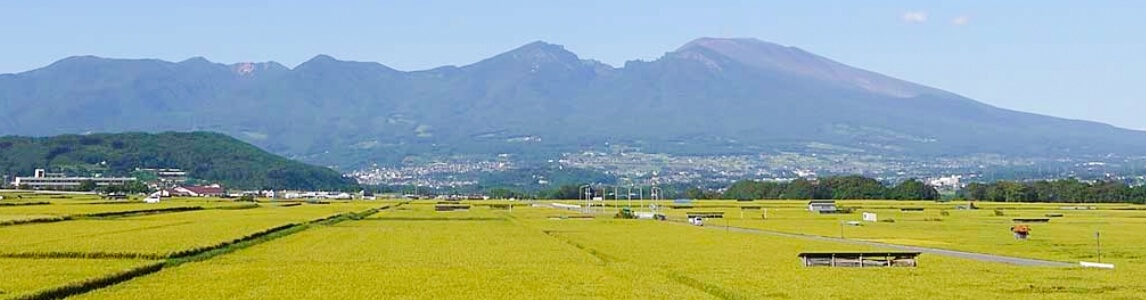 ヴァーチャル内覧公開中 VRツアー