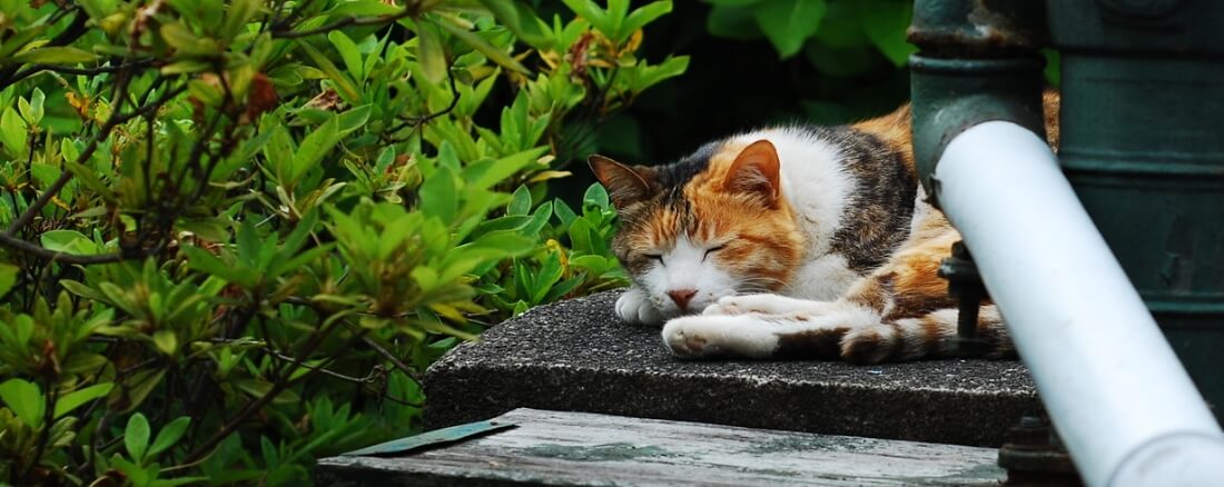 よくあるご質問