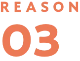 REASON 03