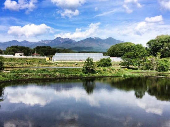 田んぼに水が入り始めました