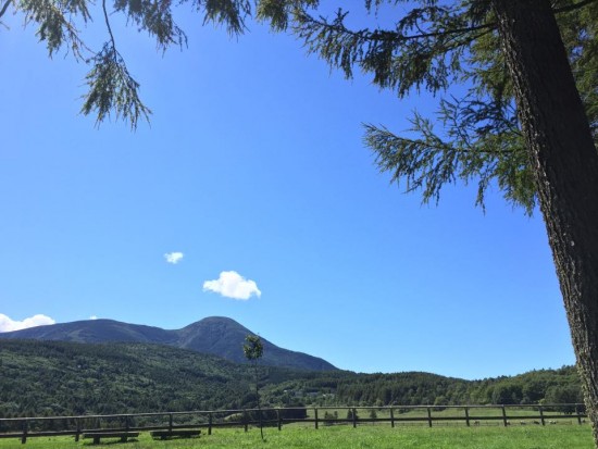 信州◆立科町／山を救え！鹿の食害をクラウドファンディングで【地域担当・ふるさと見聞録】