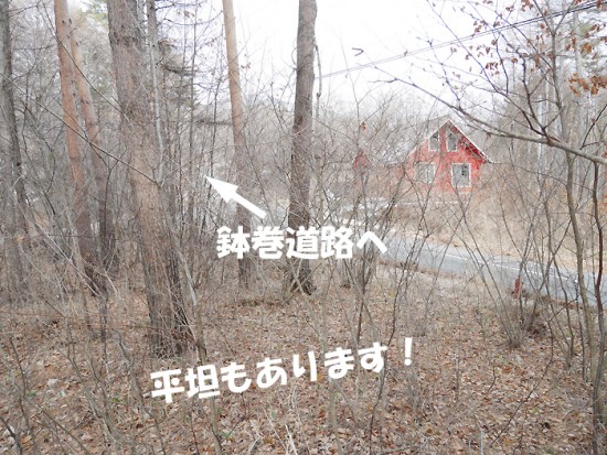 .富士見高原262万