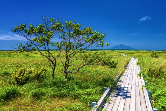 東京◆本部／アトピーと塩素と地方移住の関係性【北の国から・制作スタッフ進行日誌】