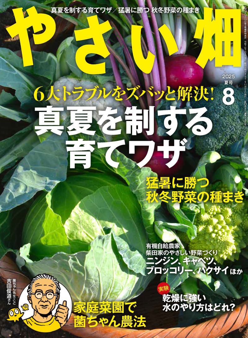 家庭菜園などにいかがですか?　耕す造　本日限定値下げ NHK 趣味の園芸 やさいの時間 2024年8月・9月号 (発売日2024年07月20日