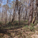 羽鳥湖高原分譲地の緑に囲まれた土地