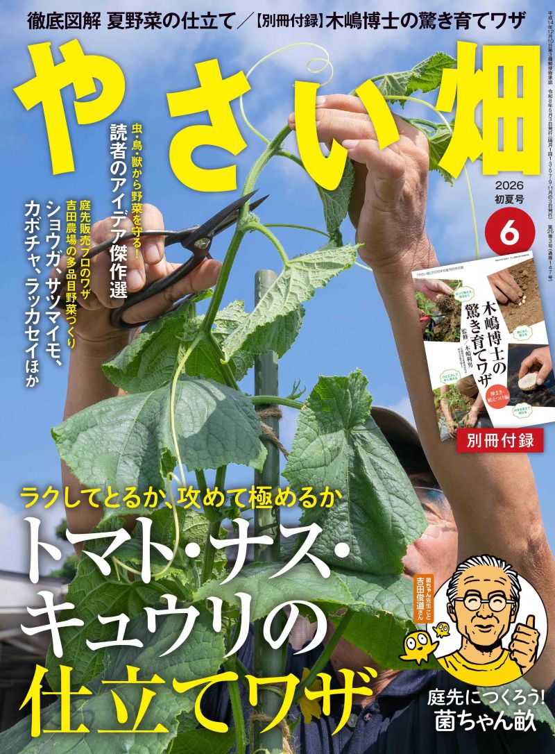 新刊紹介◇菜園ライフを応援します！～家庭菜園雑誌『やさい畑』初夏号