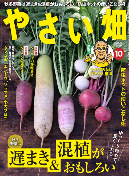 新刊紹介◆菜園ライフを応援します！～家庭菜園雑誌『やさい畑』夏号のご案内～  新刊紹介菜園ライフを応援します！　
