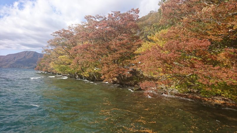 鉄道サボ 愛称板】（表）八甲田 指定席（裏）八甲田 HAKKŌDA-